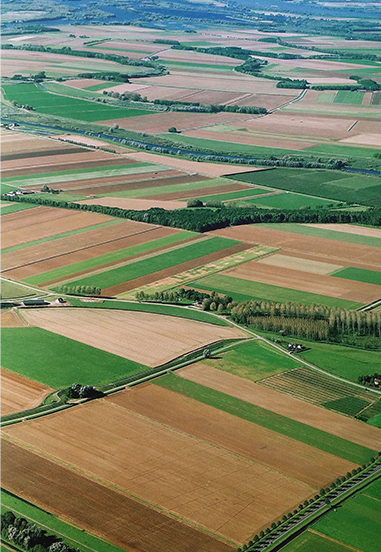Droit rural